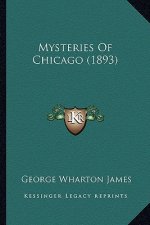 Mysteries of Chicago (1893)