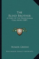 The Blind Brother: A Story of the Pennsylvania Coal Mines (1887)