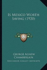 Is Mexico Worth Saving (1920)