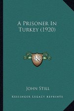 A Prisoner In Turkey (1920)