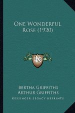 One Wonderful Rose (1920)