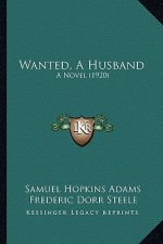 Wanted, a Husband: A Novel (1920)