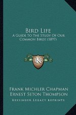 Bird Life: A Guide to the Study of Our Common Birds (1897)