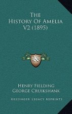 The History Of Amelia V2 (1895)