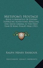Metipom's Hostage: Being a Narrative of Certain Surprising Adventures Befalling One David Lindall in the First Year of King Philip's War