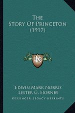 The Story Of Princeton (1917)