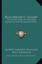 Blackbeard's Island: The Adventures of Three Boy Scouts in the Sea Islands (1916)