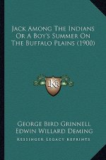 Jack Among the Indians or a Boy's Summer on the Buffalo Plains (1900)