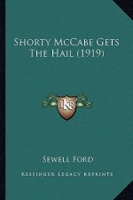 Shorty McCabe Gets the Hail (1919)
