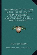 Pilgrimages to the Spas in Pursuit of Health and Recreation: With an Inquiry Into the Comparative Merits of Different Mineral Waters (1841)
