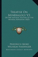 Treatise On Mineralogy V3: Or The Natural History Of The Mineral Kingdom (1825)