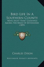 Bird Life in a Southern County: Being Eight Years' Gleanings Among the Birds of Devonshire (1899)