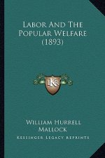 Labor and the Popular Welfare (1893)