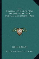 The Pilgrim Fathers of New England and Their Puritan Successors (1906)