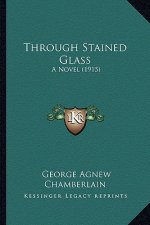 Through Stained Glass: A Novel (1915)