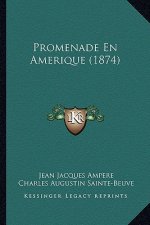 Promenade En Amerique (1874)
