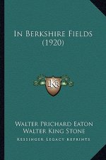 In Berkshire Fields (1920)