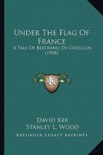 Under the Flag of France: A Tale of Bertrand Du Guesclin (1908)