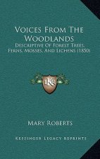 Voices from the Woodlands: Descriptive of Forest Trees, Ferns, Mosses, and Lichens (1850)
