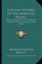 A Social History Of The American Negro: Being A History Of The Negro Problem In The United States (1921)
