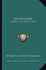 Sevenoaks: A Story Of today (1917)