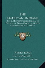 The American Indians: Their History, Condition And Prospects, From Original Notes And Manuscripts (1851)