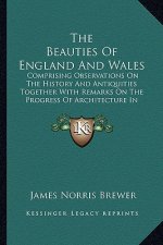 The Beauties of England and Wales: Comprising Observations on the History and Antiquities Together with Remarks on the Progress of Architecture in Suc
