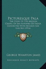 Picturesque Pala: The Story Of The Mission Chapel Of San Antonio De Padua Connected With Mission San Luis Rey (1916)