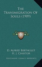 The Transmigration of Souls (1909)