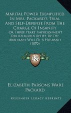 Marital Power Exemplified in Mrs. Packard's Trial and Self-Defense from the Charge of Insanity: Or Three Years' Imprisonment for Religious Belief, by