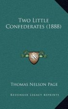 Two Little Confederates (1888)