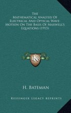 The Mathematical Analysis of Electrical and Optical Wave-Motion on the Basis of Maxwell's Equations (1915)