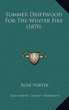 Summer Driftwood for the Winter Fire (1870)