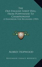 The Old English Sheep Dog, from Puppyhood to Championship: A Handbook for Beginners (1905)