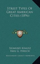 Street Types of Great American Cities (1896)