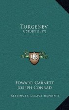 Turgenev: A Study (1917)