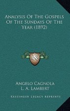 Analysis of the Gospels of the Sundays of the Year (1892)
