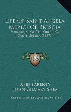 Life of Saint Angela Merici of Brescia: Foundress of the Order of Saint Ursula (1857)