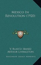 Mexico in Revolution (1920)