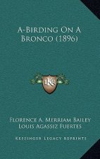 A-Birding on a Bronco (1896)