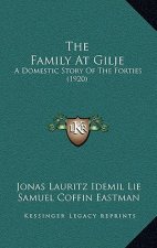 The Family At Gilje: A Domestic Story Of The Forties (1920)