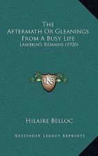 The Aftermath or Gleanings from a Busy Life: Lambkin's Remains (1920)