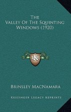 The Valley of the Squinting Windows (1920)