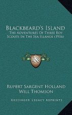 Blackbeard's Island: The Adventures of Three Boy Scouts in the Sea Islands (1916)
