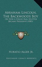 Abraham Lincoln, the Backwoods Boy: Or How a Young Rail Splitter Became President (1883)