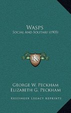 Wasps: Social and Solitary (1905)