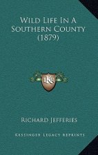 Wild Life in a Southern County (1879)