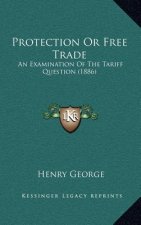 Protection or Free Trade: An Examination of the Tariff Question (1886)