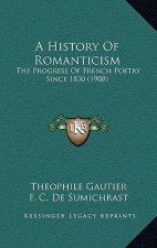 A History Of Romanticism: The Progress Of French Poetry Since 1830 (1908)