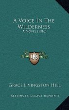 A Voice in the Wilderness: A Novel (1916)